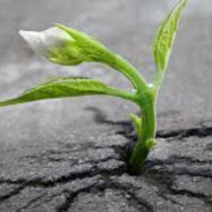 Healing Through Self Embrace (8D Audio)