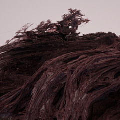 dark matter
