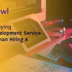 Why Employing a Web Development Service is Better than Hiring a Freelancer