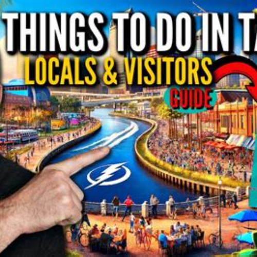 Best Free Things To Do In Tampa Tonight Tours Reviews