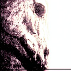 Infekt_EToyle(3)