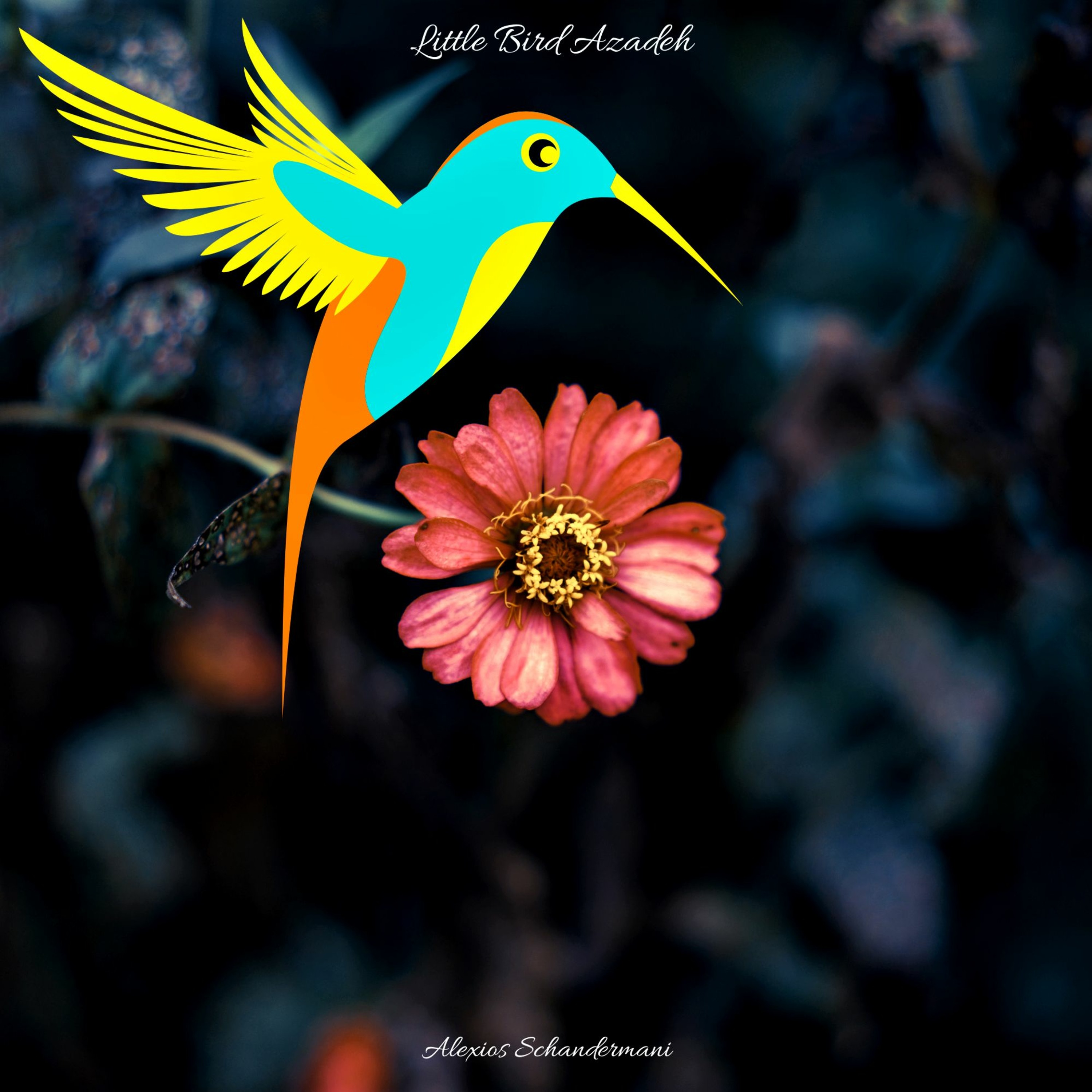 Little Bird Azadeh