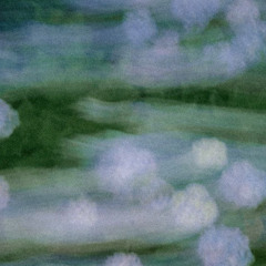 Kenosis in the Morning