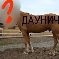 байка про коня