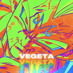 Vegeta (prod. by ziggy k)