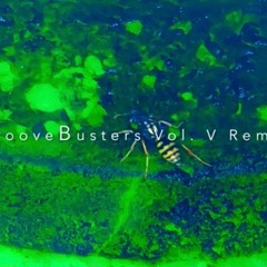 GrooveBusters VOL V RMX