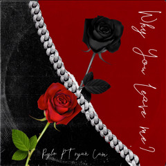 Why You Leave Me? Ft. Cam & Pt ryan (ig: mr.evrythng._ , @camoren.b , @_ptryan)