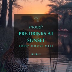 mood: pre-drinks at sunset [deep house] mix
