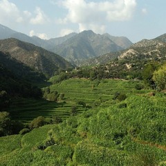 The Valley (prod by.jody)