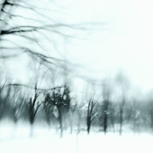 i wish i could tell you (demo)