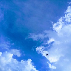 Alone In The Greatest Past