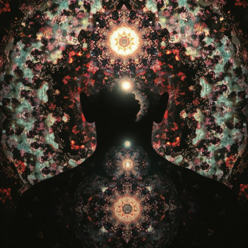 Self Reflection