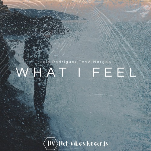 Luis Rodriguez,TAVA,Margad - What I Feel