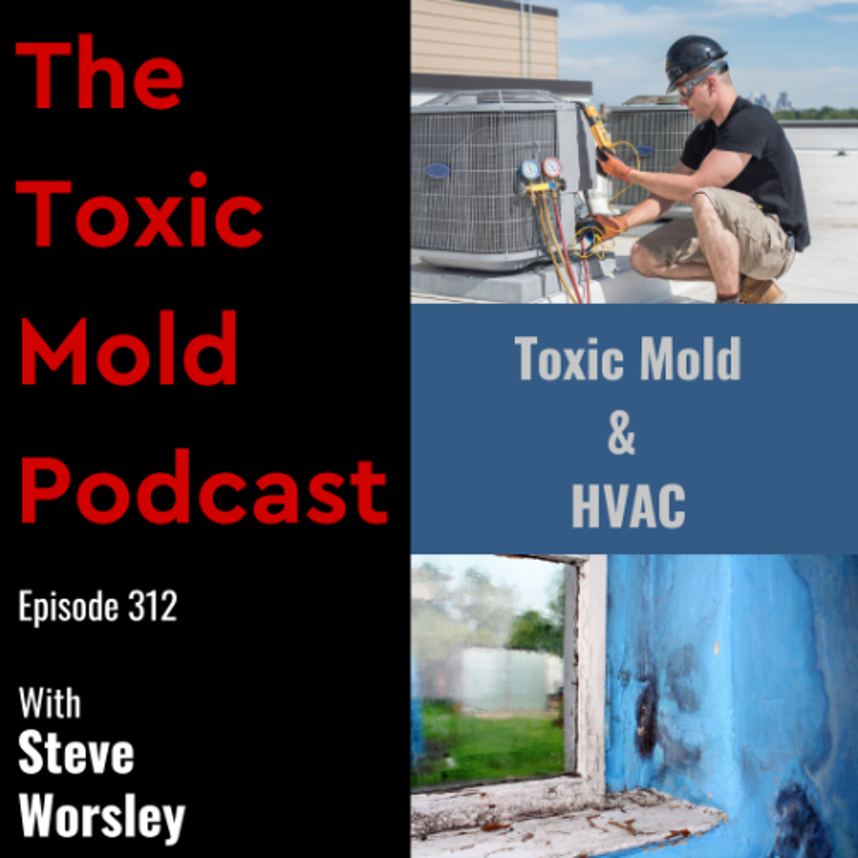 EP 312: Toxic Mold and HVAC