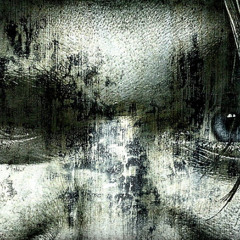 fragments of insanity