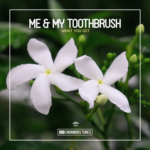 Me & My Toothbrush - What You Got
