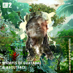 Wampís of Guayabal & Aboutface - NTS Radio 7-6-25