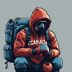 Traveller's Mix