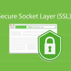 SSL là gì? Kiến thức cần biết về chứng chỉ số SSL từ A – Z