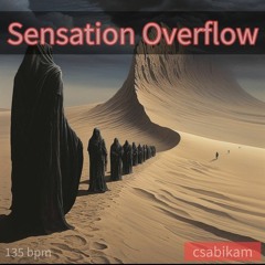 Sensation Overflow