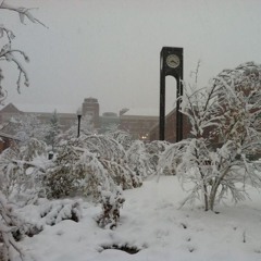 pov bleeding out -361 cents