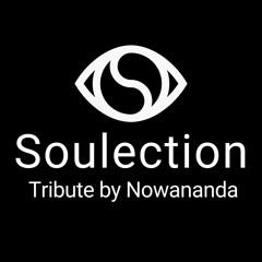 SOULECTION Tribute - Amapiano, Afrobeats, R&B, Jazz
