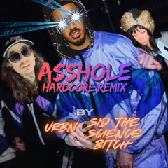 asShole remix -Mike Sherm (URBN x Sid the science bxtch)