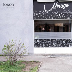 TOSCA - CLEAN UP (Balint Dobozi Remix)