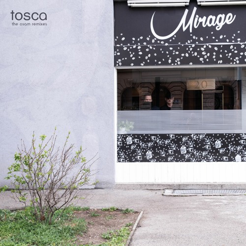 TOSCA - CLEAN UP (Balint Dobozi Remix)