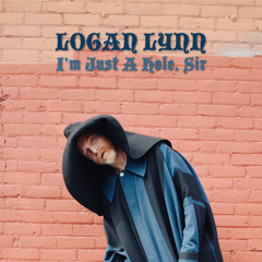 I'm Just A Hole, Sir