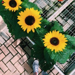 helpless (Peggy Schuyler's perspective)