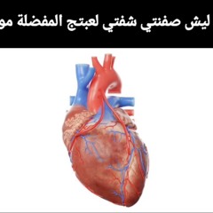 روح  انا راضي بغيابك ⁩