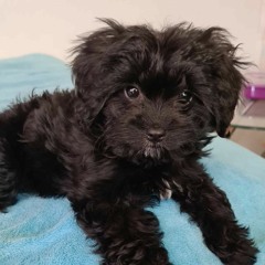 Weir (prod. DURBENTIA)