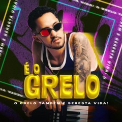GRELO DE GRAÇA OU PAGANDO (WØLVES Remix)