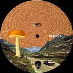 Unknown Artist - Psy Visions [NNMS03]