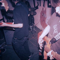 overturned treelines acoustic
