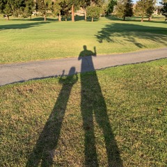 coming back to life, but not yet