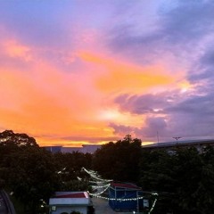 Nocturne of The Red Papaya