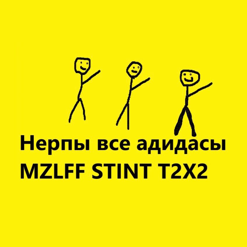 Daxistin MZLFF, STINT, T2X2 - НЕРПЫ ВСЕ АДИДАСЫ