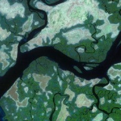 DjingisaMedicine - stes 1