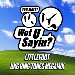Littlefoot - UKG Ring Tones MEGAMIX