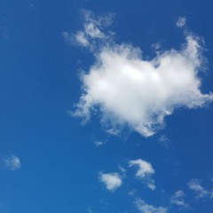 Eliane, in her pale blue sheets.