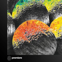 Premiere: Delta Omega - Element - Фактура (Faktura)