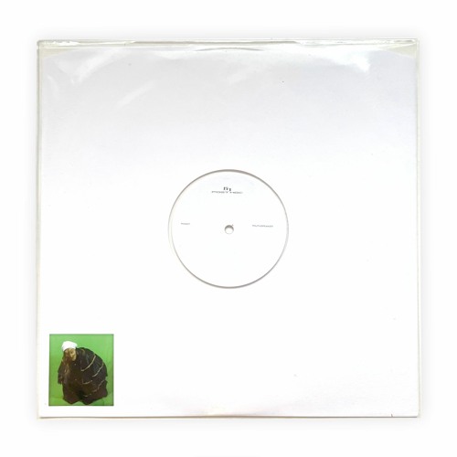 PREMIERE : truthspeaker - mPFC [Post Hoc]