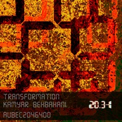 Kamyar Behbahani - Transformation