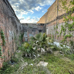 meet me in the woods tonight - singalong - lord huron cover