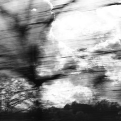 Toutes les images disparaitront