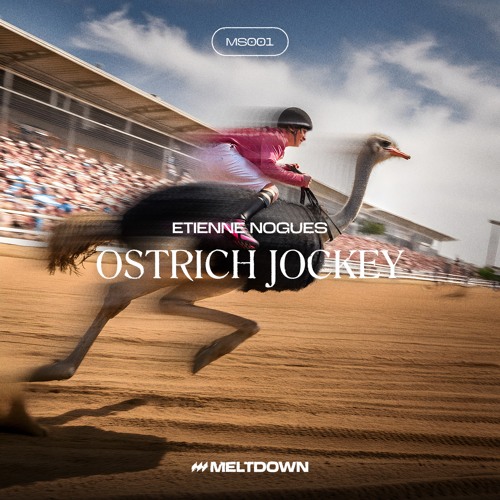 FREE DL : Etienne Nogues - Ostrich Jockey [TFS001]
