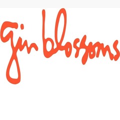 Gin Blossoms - I'm Alright Now (MIX 96.6 Acoustic)
