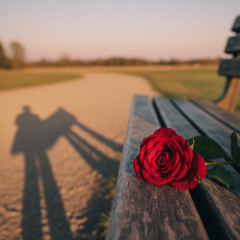 Wanita yang Paling Cantik